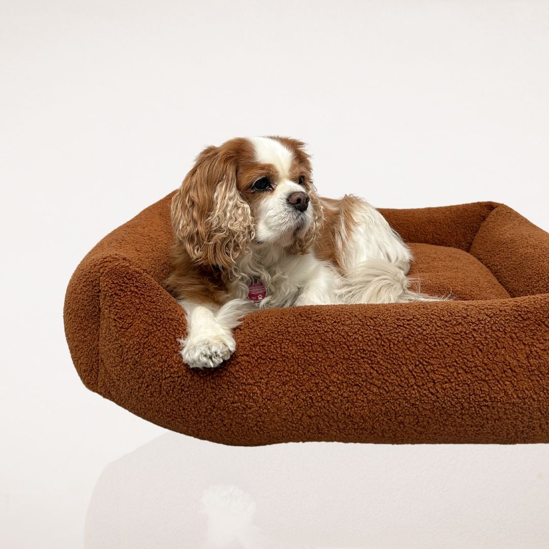 Hundebett Leni