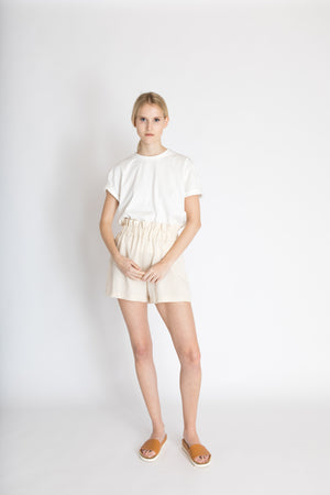 E-Book Shorts Alva